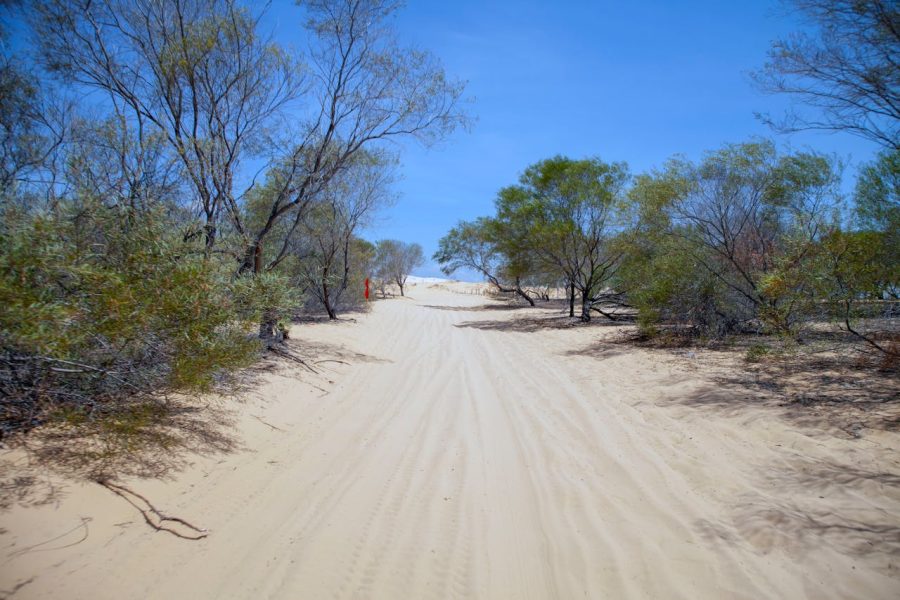 Breathtaking Dune du Pilat